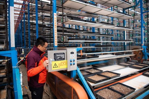 保姆式服務(wù)+智能化工廠+連片化土地——工業(yè)工程設(shè)計(jì)服務(wù)賦能湖南水稻大省春耕新圖景